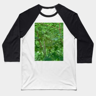 Inside The Maple Tree Baseball T-Shirt